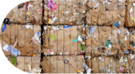 recygo recycler
